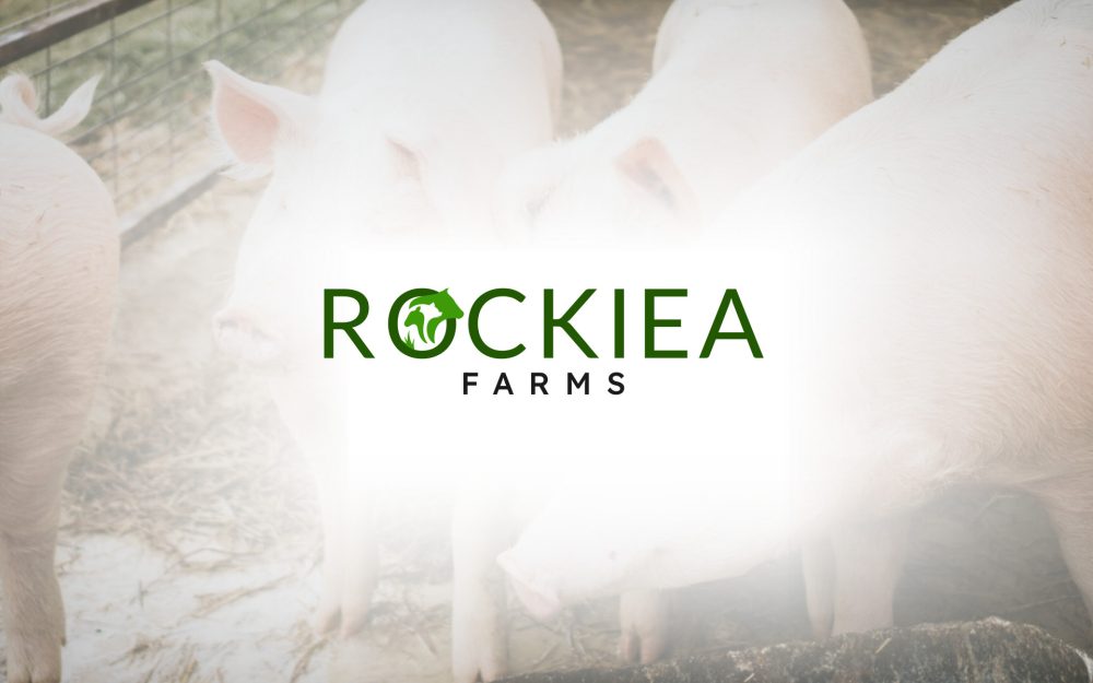 Rockiea Brand Identity