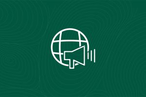 CEOs Take Note: 5 Million-Dollar Nigerian Startups That Failed Miserably (And Exactly Why)