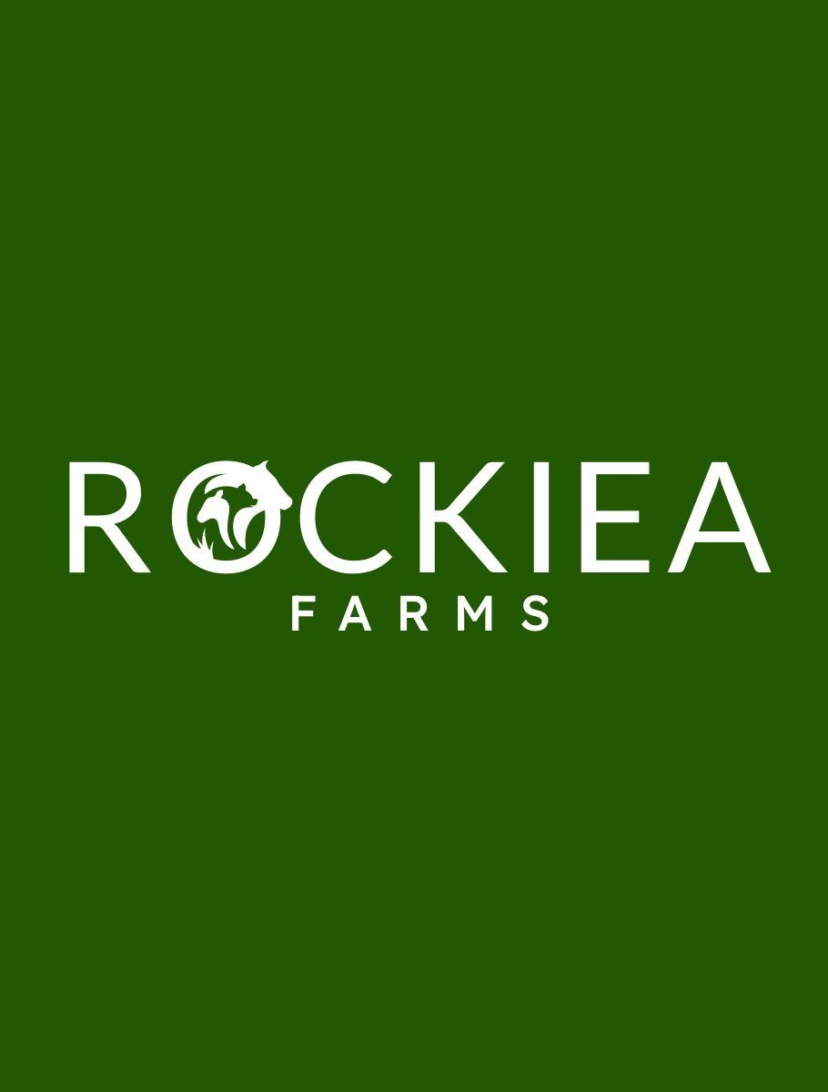 Rockiea Brand Identity-3